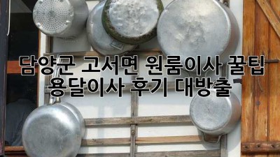 담양군 고서면 원룸이사 꿀팁🍯 용달이사 후기 대방출!