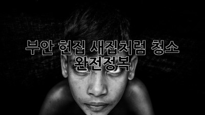 부안 헌집, 새집처럼✨ 청소 완전정복🏠