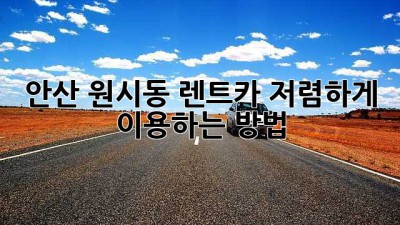 안산 원시동 렌트카 저렴하게 이용하는 방법